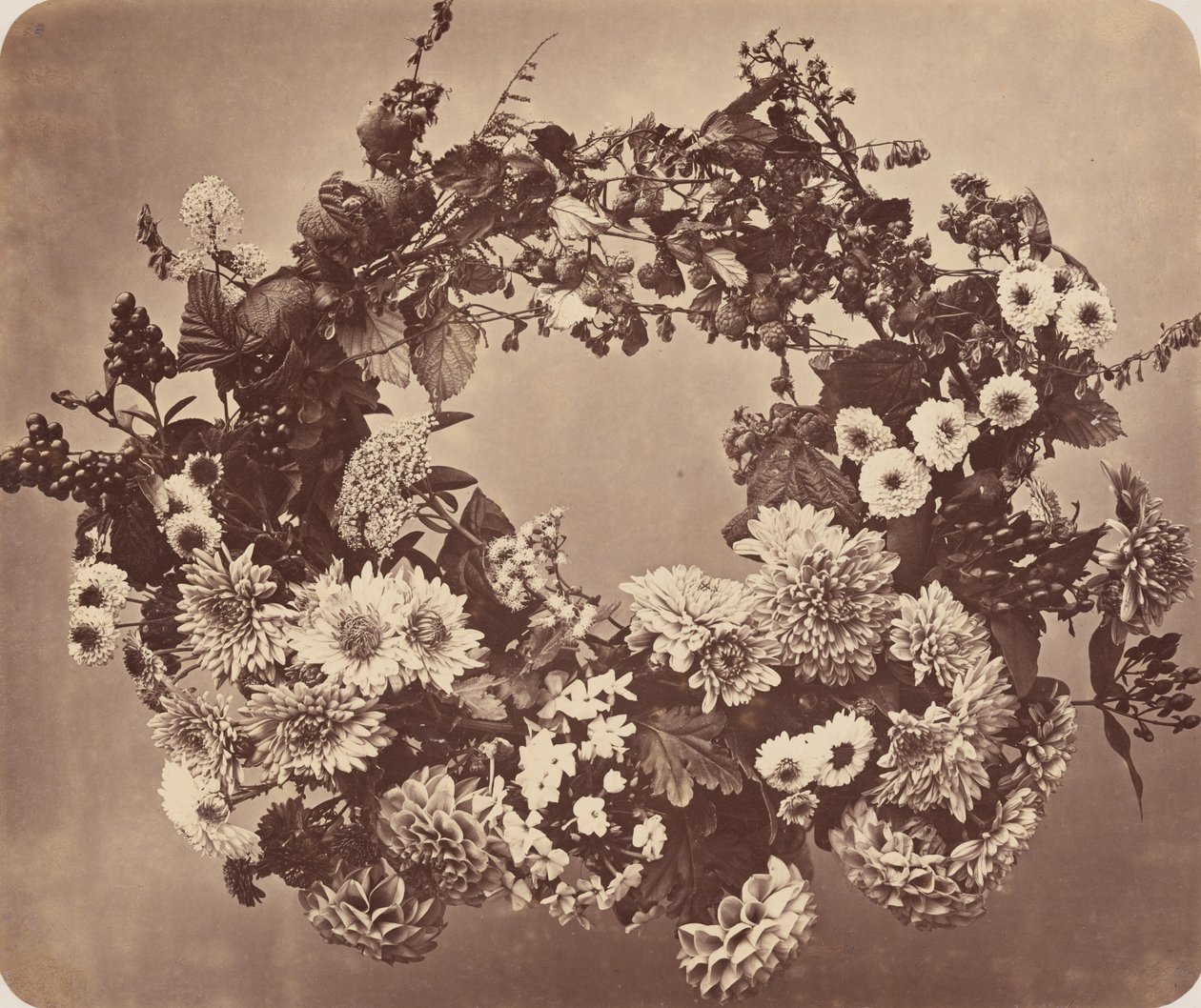 Blumen- und Beerenkranz von Adolphe Braun