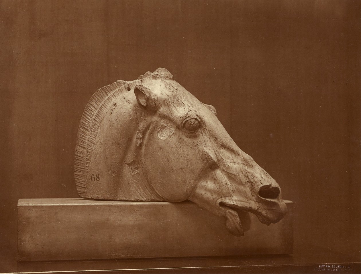 (Kopf eines Pferdes vom Giebel des Parthenon, British Museum) von Adolphe Braun