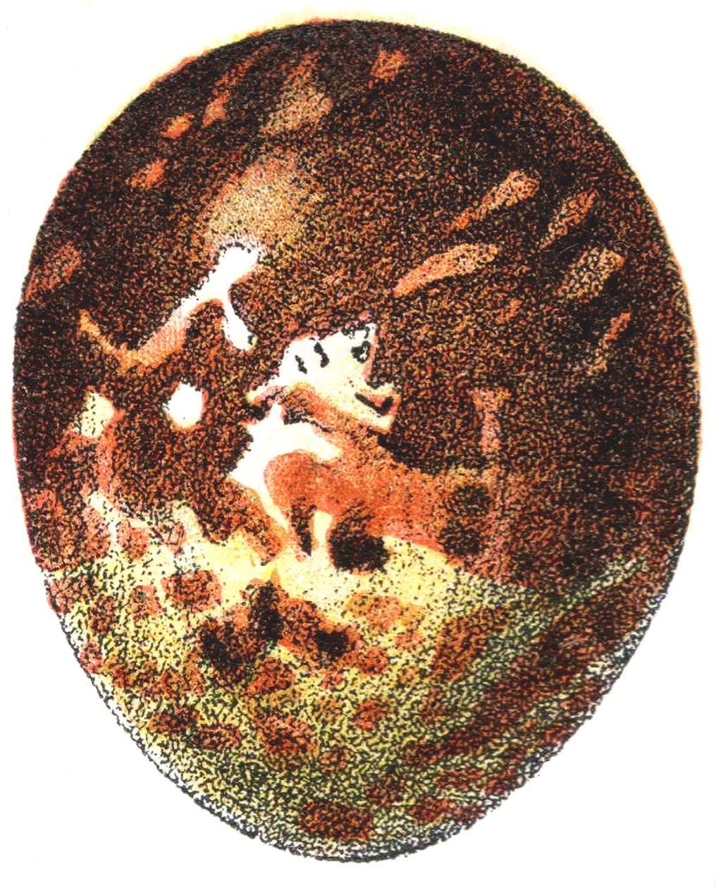 Ei eines Wespenbussards (Pernis apivorus), 1923 von Adolphe Philippe Millot