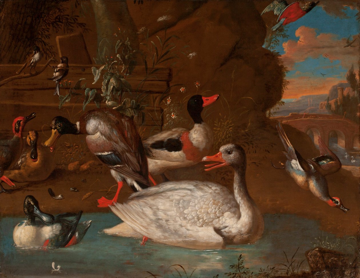 Eine norwegische weiße Gans umgeben von einer Brandente, Stockente, Löffelenten, Krickenten und Schwanzmeisen in einer italienischen Landschaft bei Dämmerung, 1703 von Adriaen van Oolen