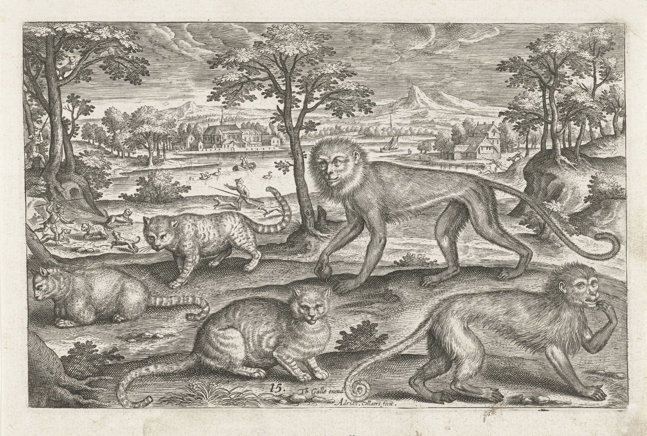 Affen und Katzen von Adriaen Collaert