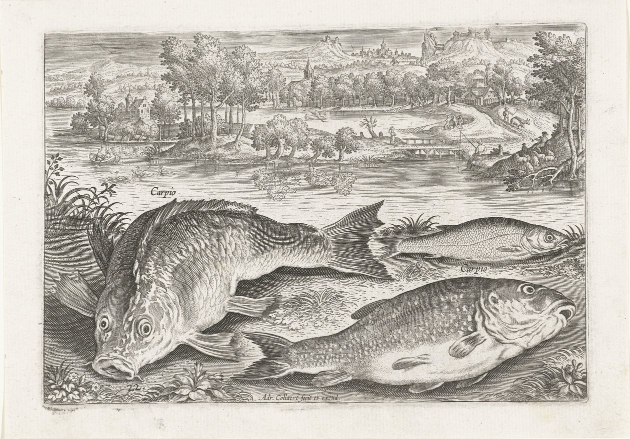 Drei Karpfen am Ufer von Adriaen Collaert