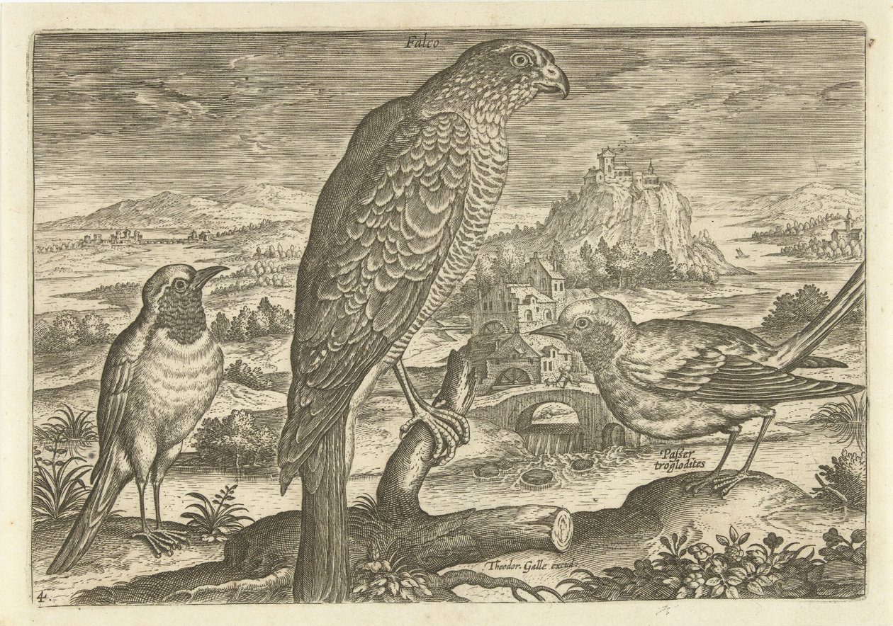 Einige Vögel in einer Landschaft (Vogels, Avivm vivae) von Adriaen Collaert