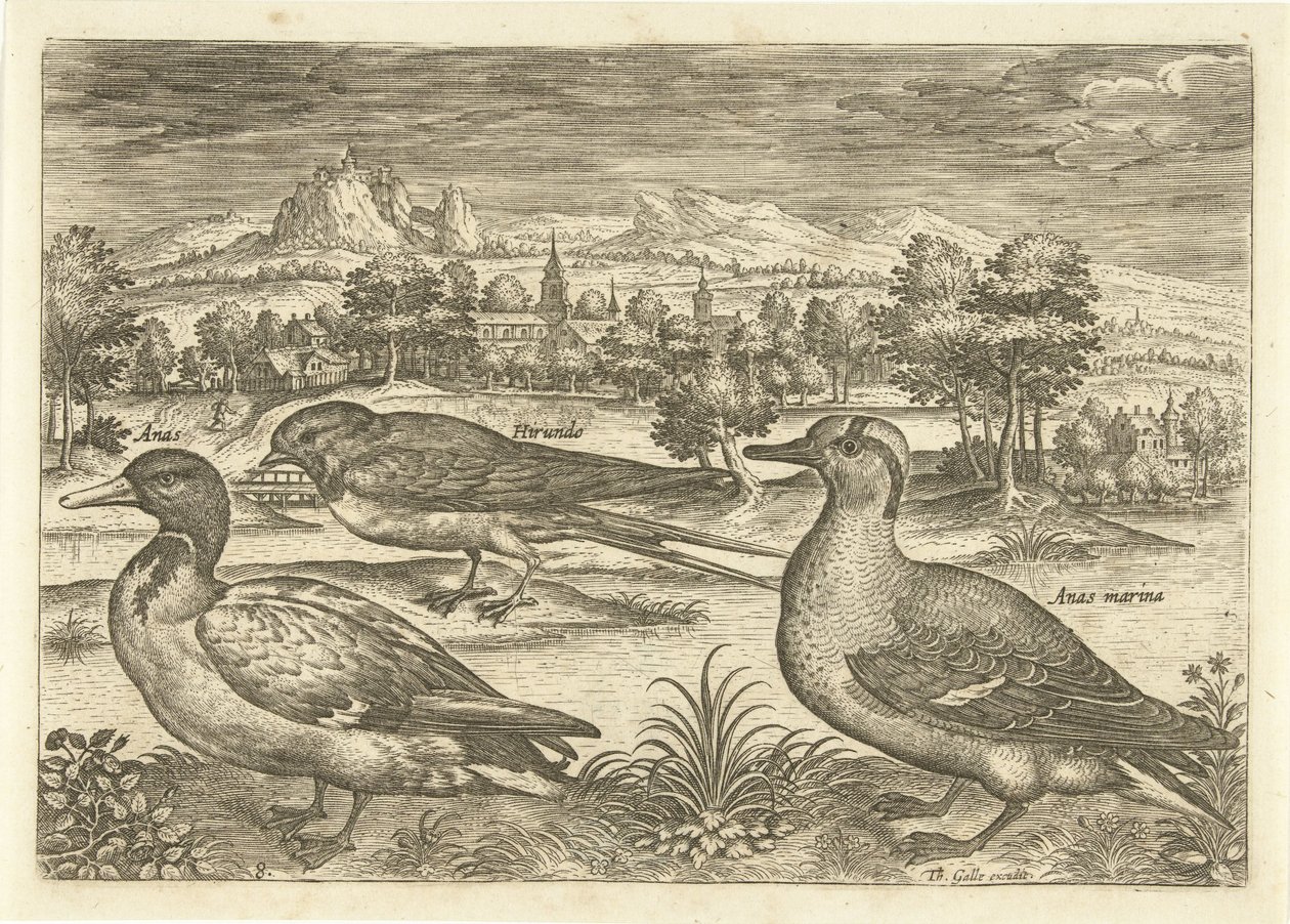 Einige Vögel in einer Landschaft von Adriaen Collaert