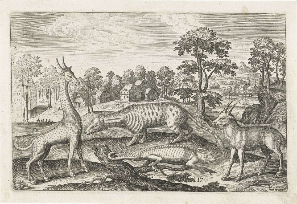 Exotische Tiere von Adriaen Collaert