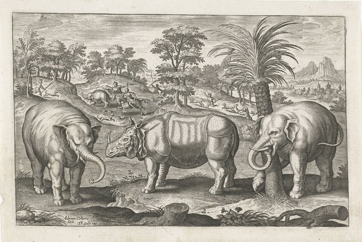 Elefanten und Nashorn von Adriaen Collaert