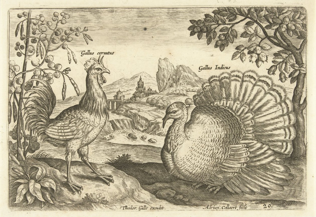 Zwei Hühner in einer Landschaft von Adriaen Collaert