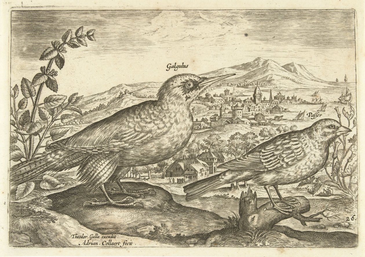 Zwei Vögel in einer Landschaft von Adriaen Collaert