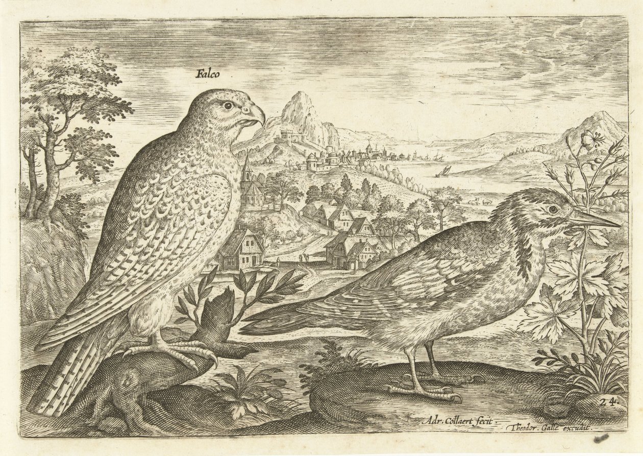 Zwei Vögel in einer Landschaft (Serie: Avivm Vivae, Vögel) von Adriaen Collaert