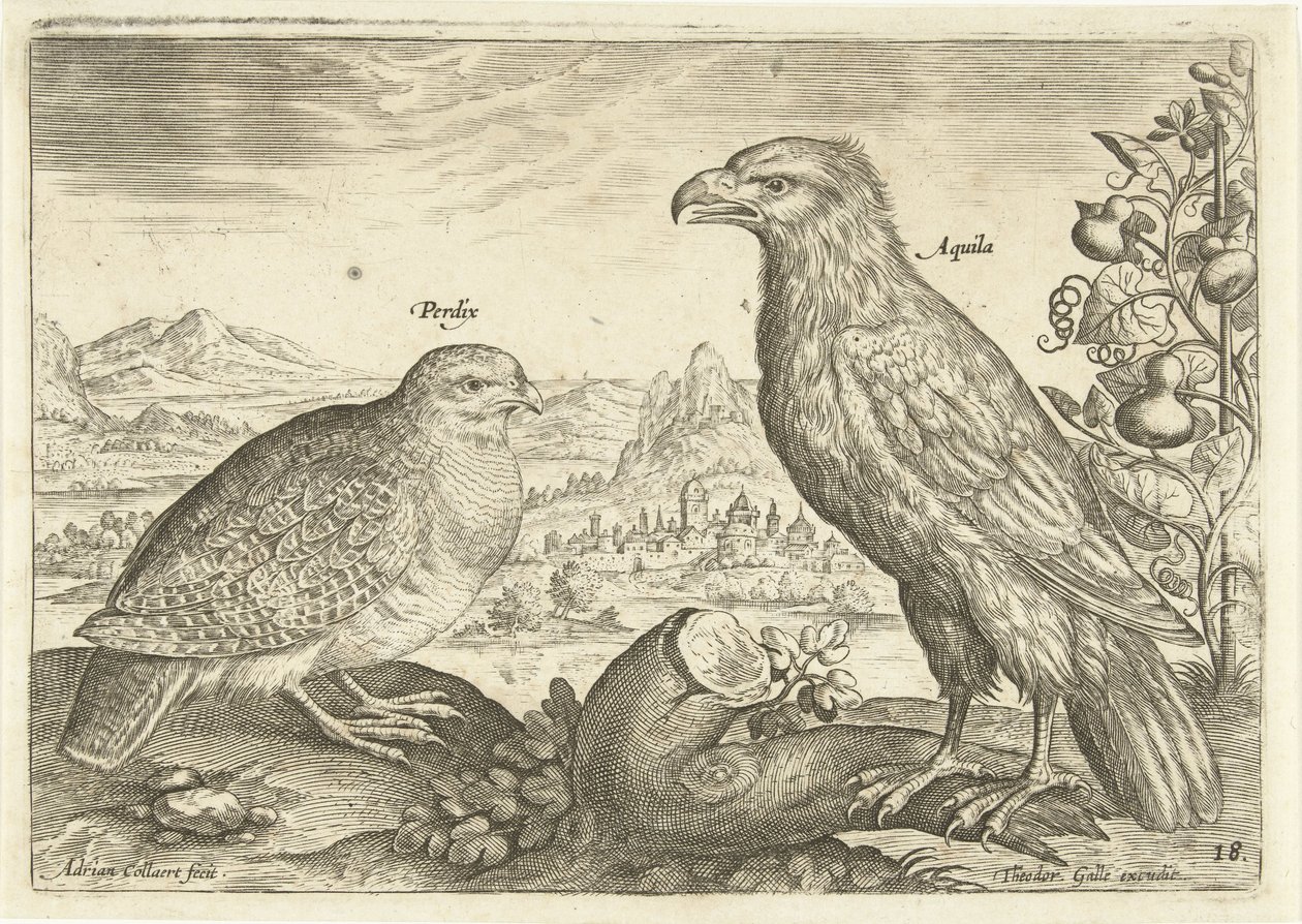 Zwei Vögel in einer Landschaft (Avivm Vivae) (Vögel) von Adriaen Collaert