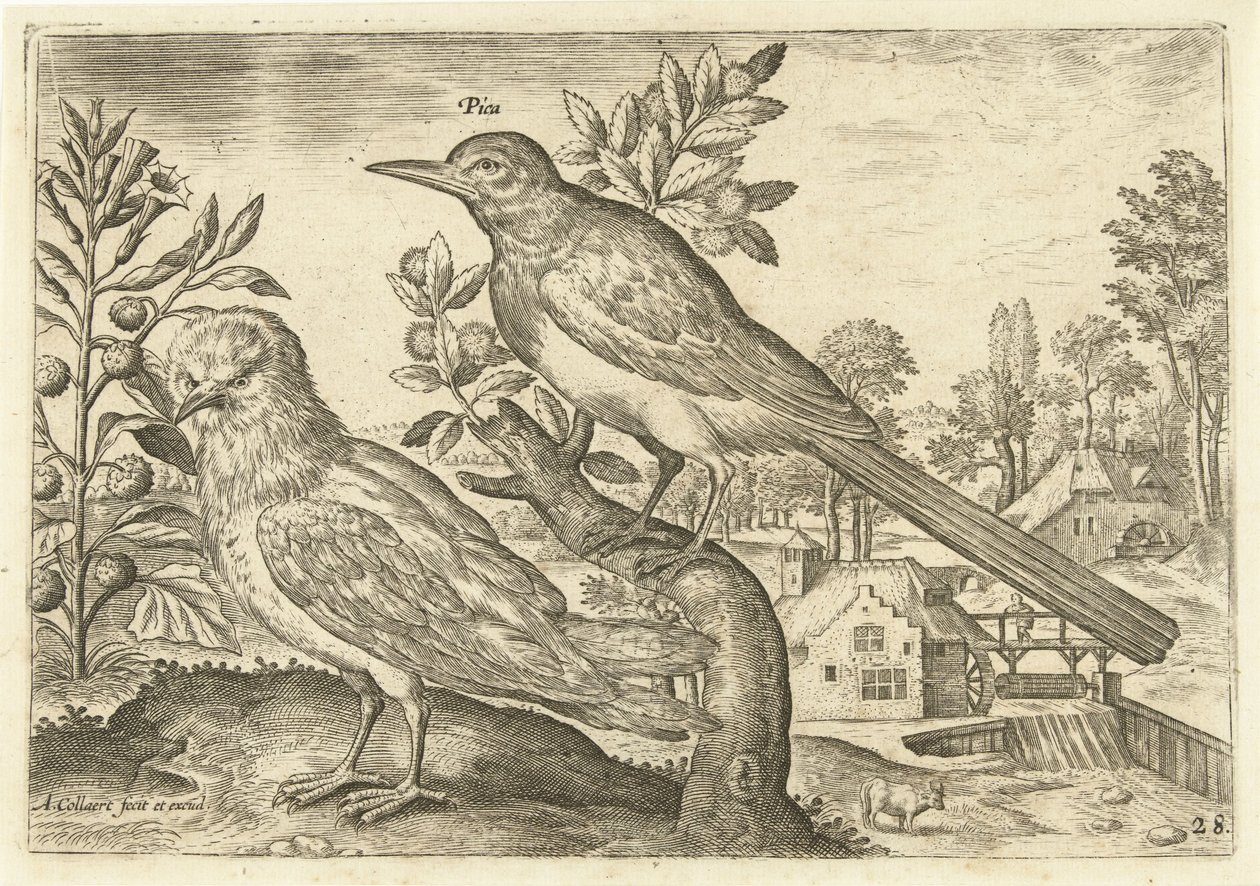 Zwei Vögel in einer Landschaft von Adriaen Collaert
