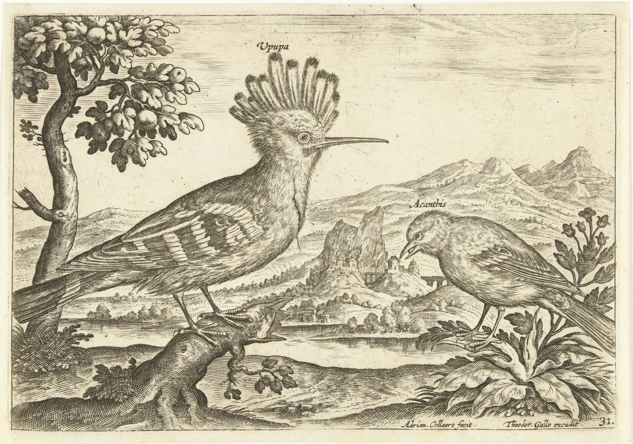 Zwei Vögel in einer Landschaft von Adriaen Collaert