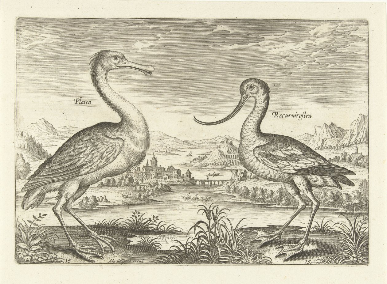 Zwei Watvögel in einer Flusslandschaft von Adriaen Collaert