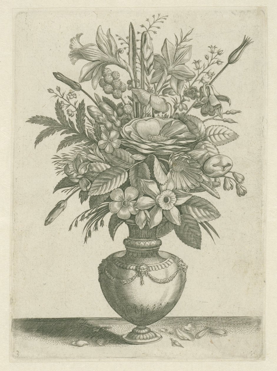 Vase mit Blumen, darunter Trompetennarzissen (Florilegium) von Adriaen Collaert