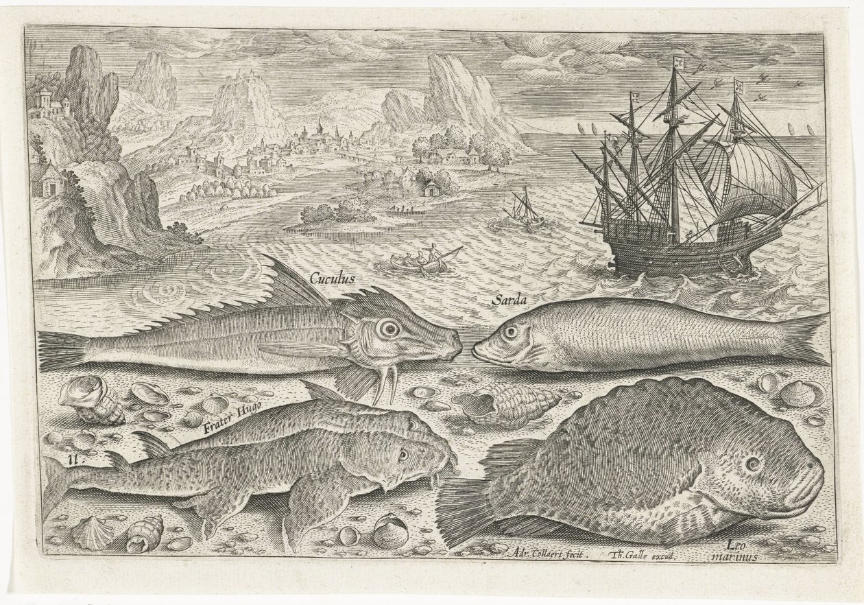 Vier Fische am Strand von Adriaen Collaert