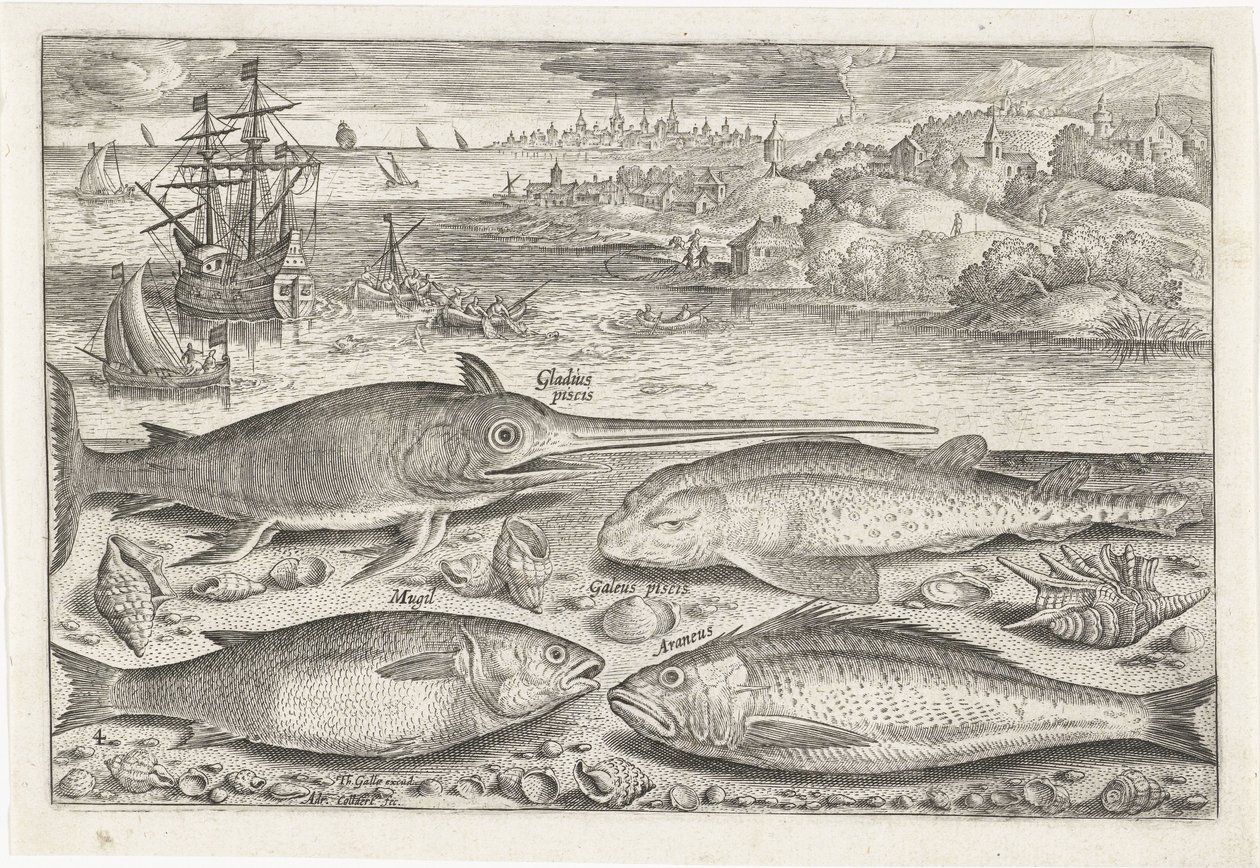 Vier Fische am Strand von Adriaen Collaert