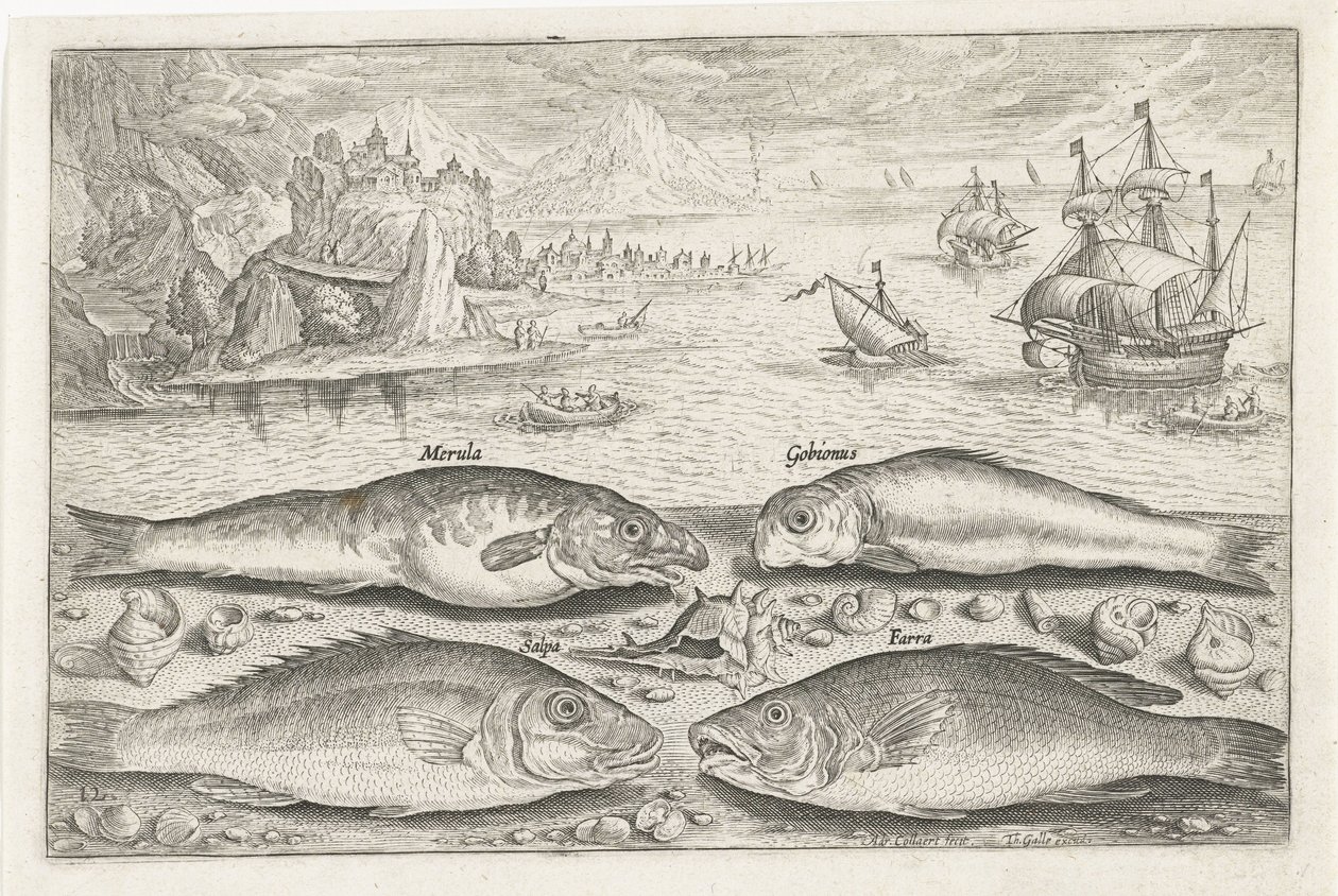 Vier Fische am Strand von Adriaen Collaert