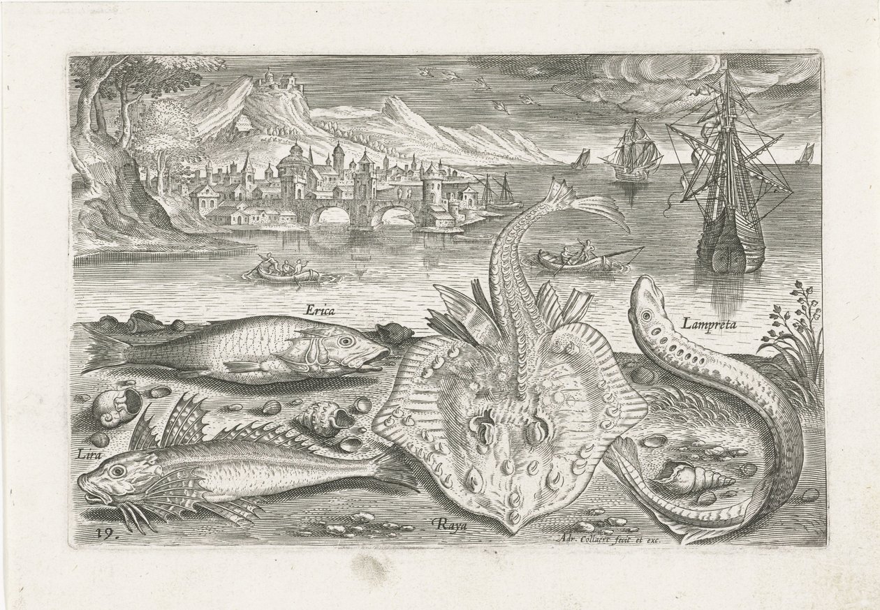 Vier Fische am Strand von Adriaen Collaert