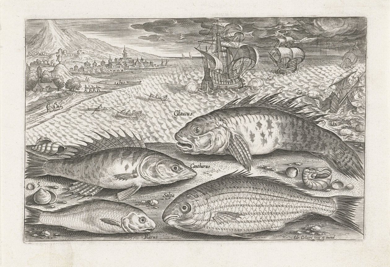 Vier Fische am Strand von Adriaen Collaert