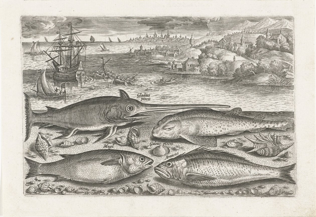 Vier Fische am Strand von Adriaen Collaert