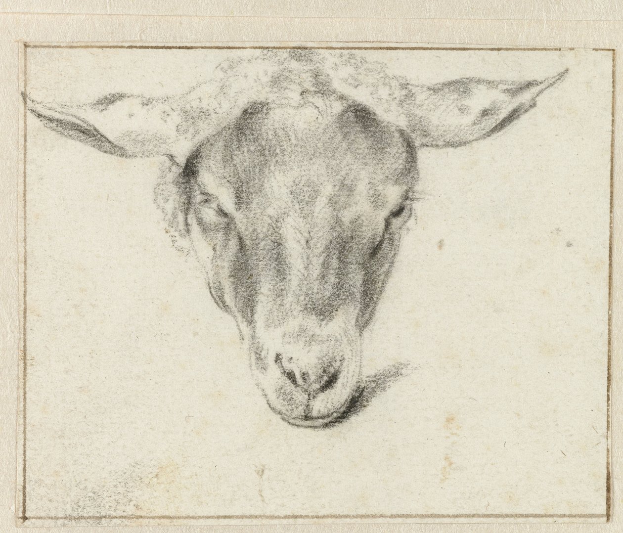 Schafskopf, von vorne von Adriaen van de Velde (attributed to)
