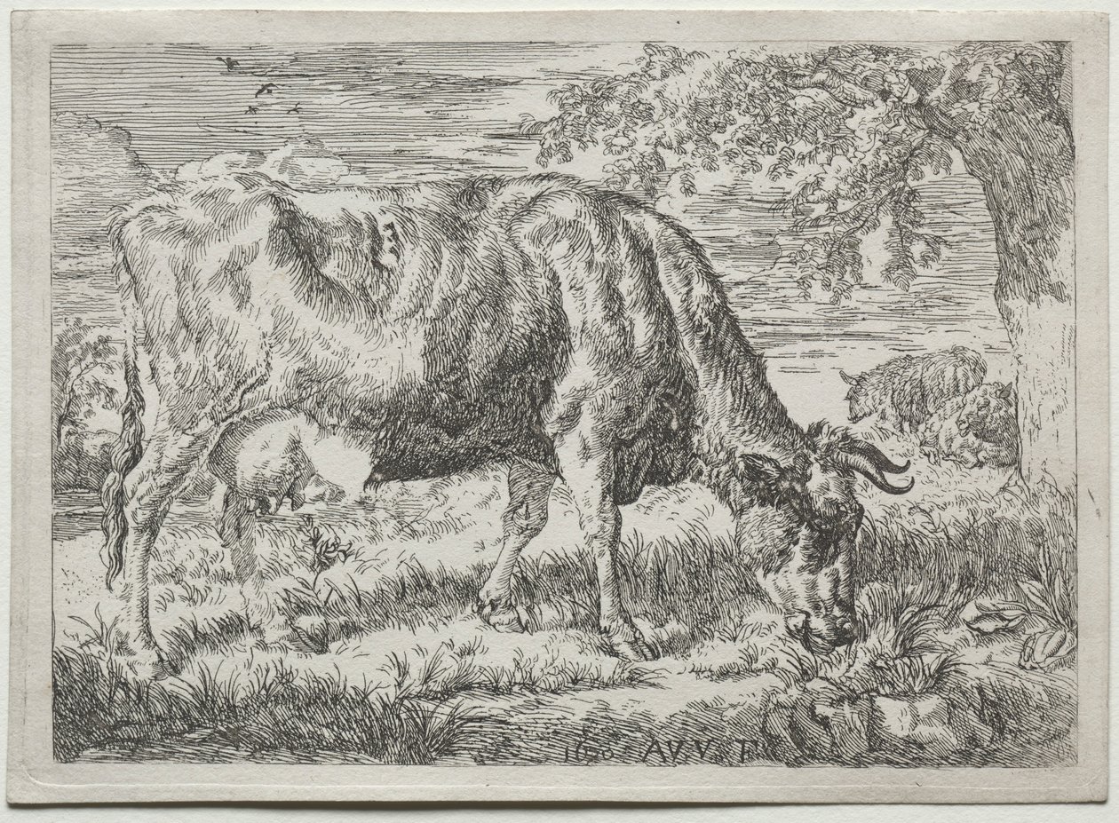 Kuh und zwei Schafe am Fuße eines Baumes, 1670 von Adriaen van de Velde