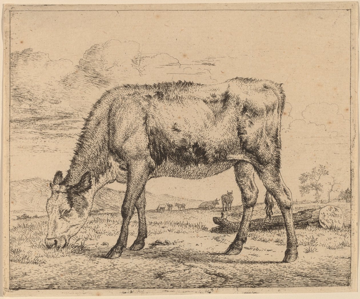 Weidendes Kalb von Adriaen van de Velde