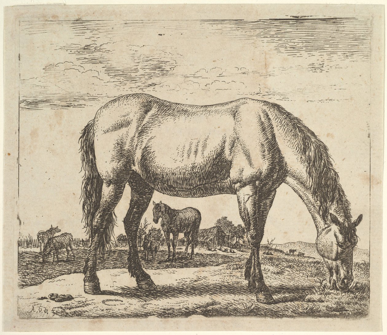 Weidendes Pferd, aus Verschiedene Tiere von Adriaen van de Velde