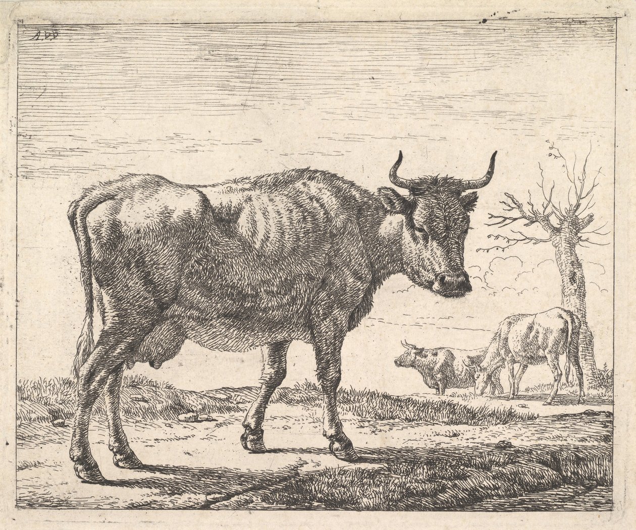 Drei Kühe von Adriaen van de Velde