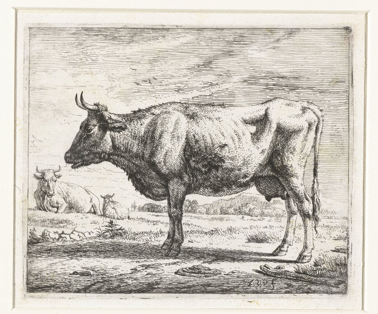 Zwei Kühe und ein Schaf (Verschiedene Tiere) von Adriaen van de Velde