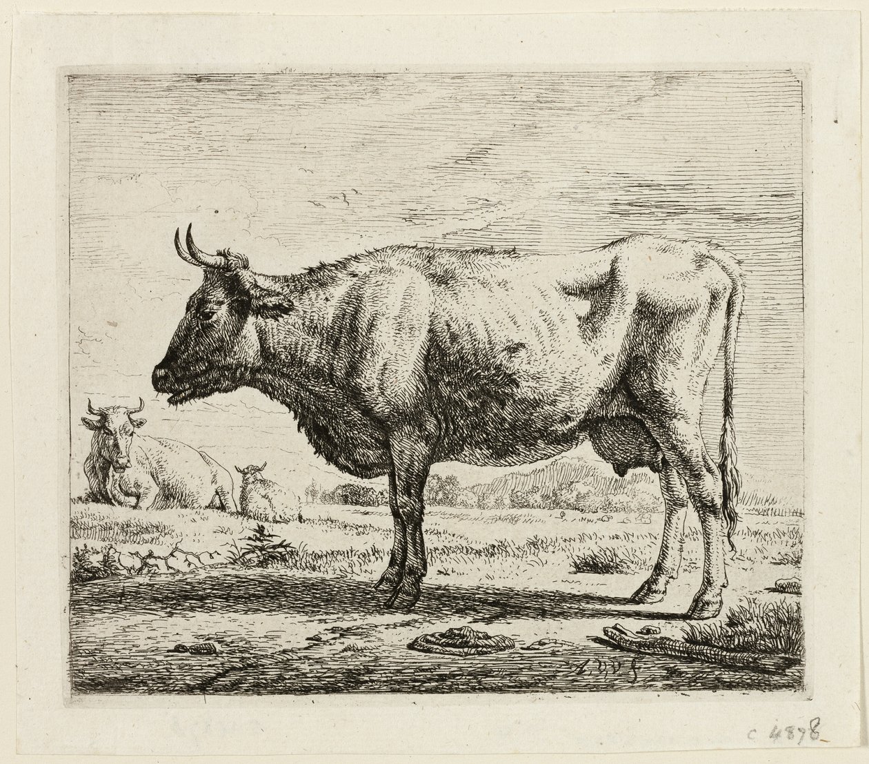 Zwei Kühe und ein Schaf von Adriaen van de Velde