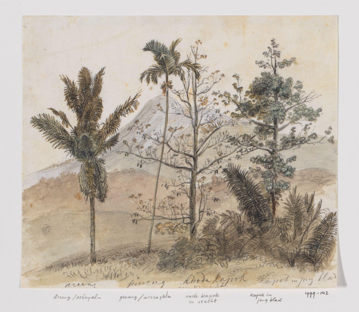 Bäume in Berglandschaft Java von Adrianus Johannes Bik