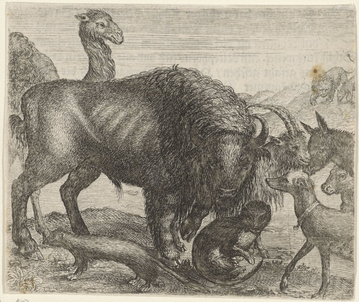 Fabel vom Bison und den anderen Tieren von Egidius  Sadeler (II)