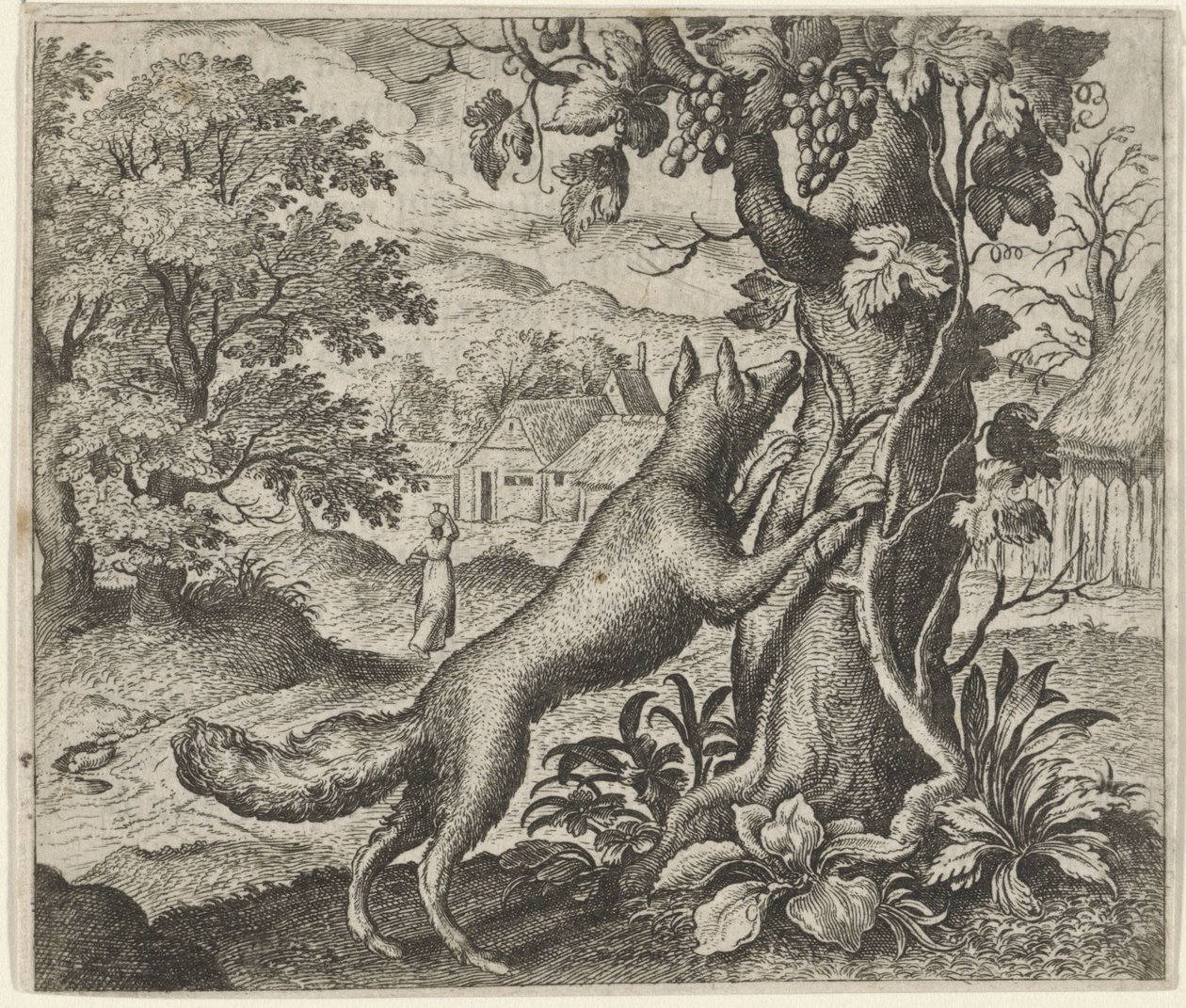 Fabel vom Fuchs und den Trauben von Egidius  Sadeler (II)