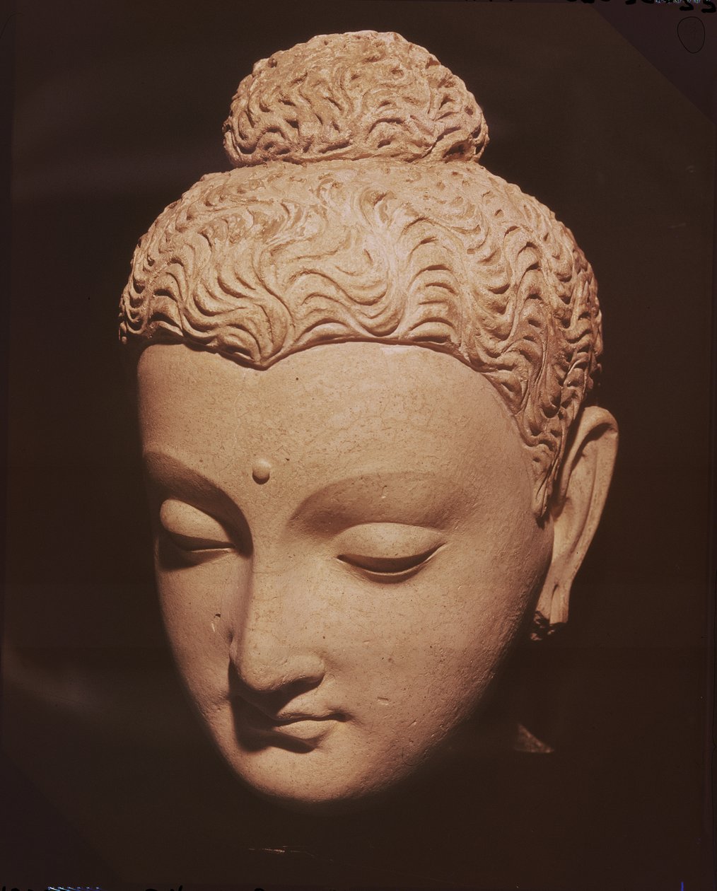 Kopf von Buddha, griechisch-buddhistischer Stil, aus Hadda von Afghan School