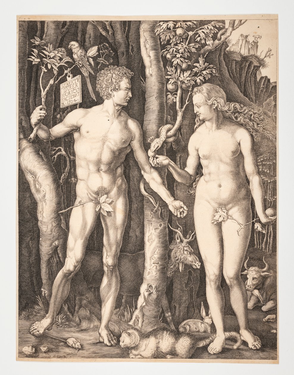 Adam und Eva im Garten Eden - Albrecht Dürer von After Albrecht Dürer