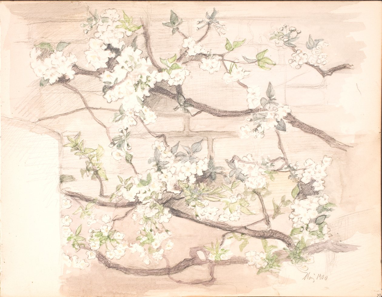 Apfelblüten von Agnes Slott Møller
