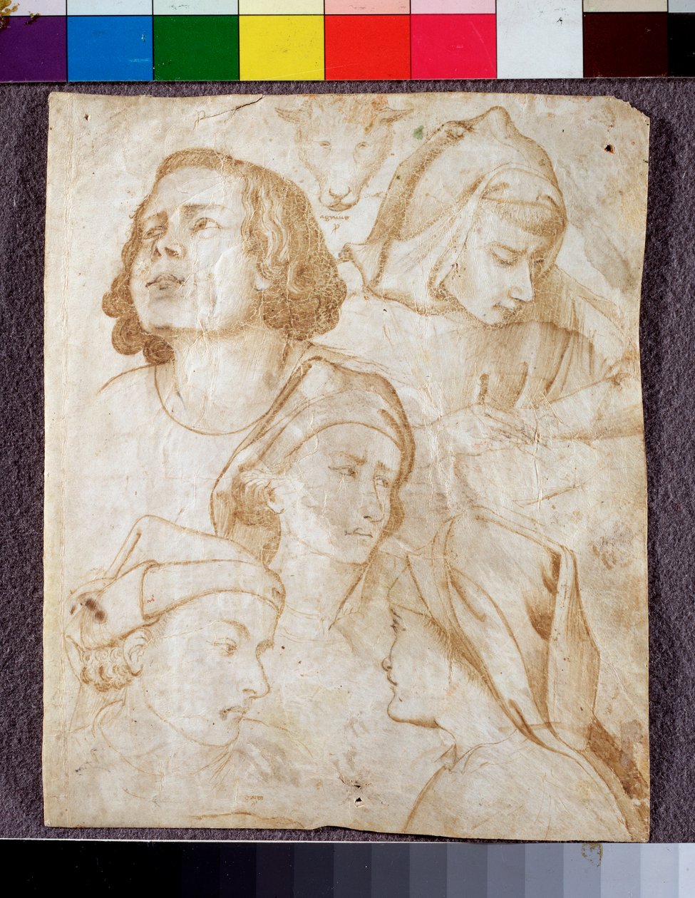 Köpfe von Agnolo Gaddi
