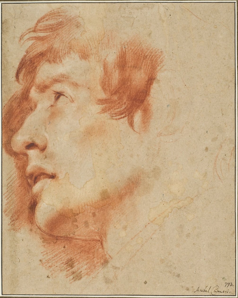 Kopf eines jungen Mannes, nach oben blickend von Agostino Carracci