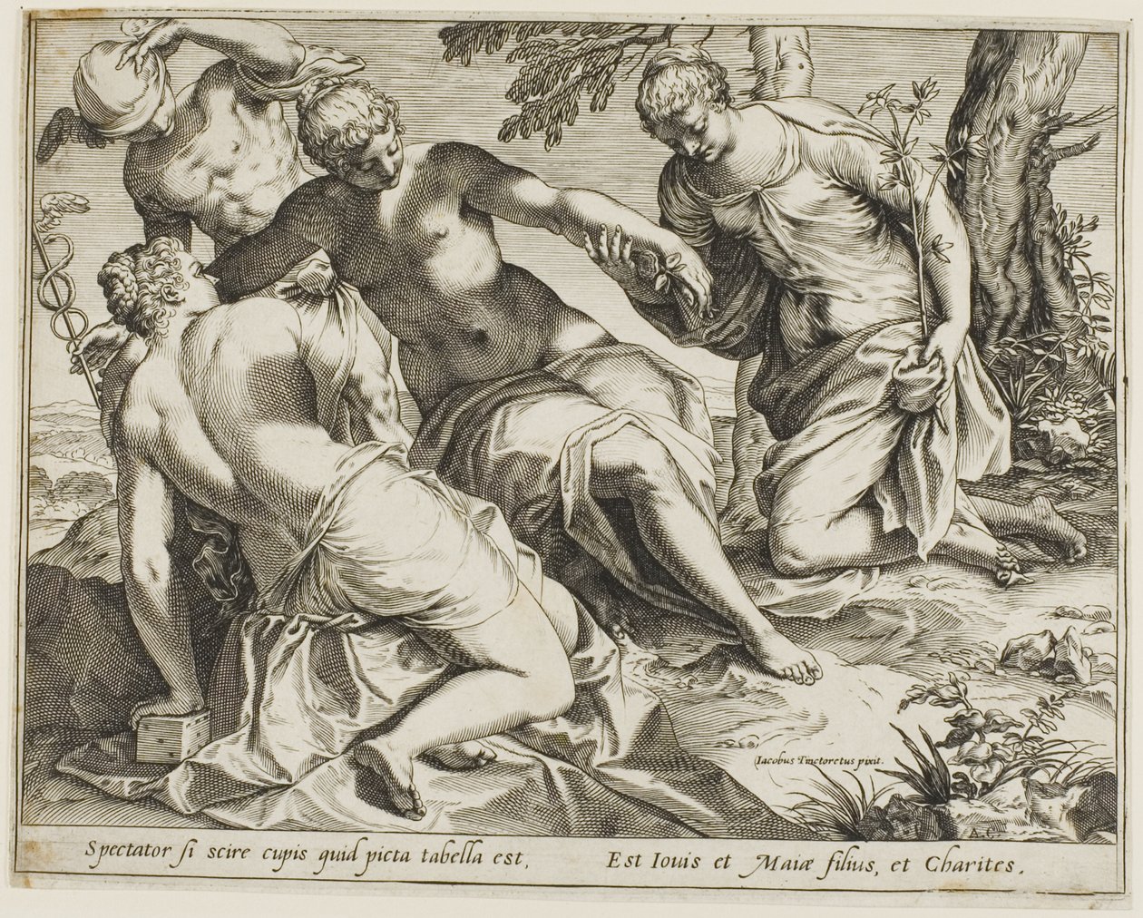 Merkur und die Grazien von Agostino Carracci