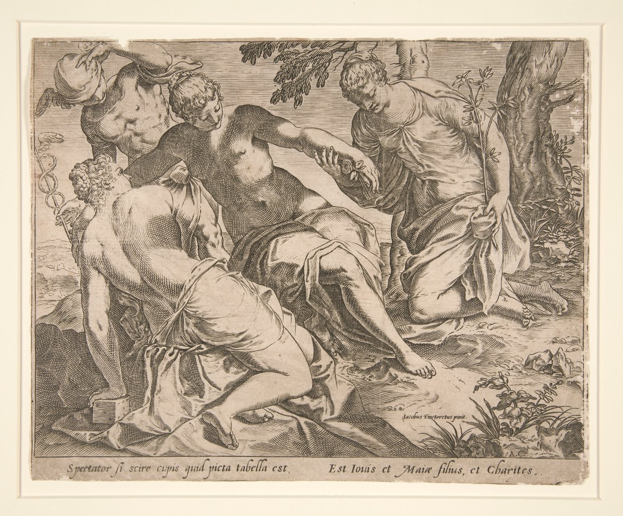 Merkur und die drei Grazien von Agostino Carracci