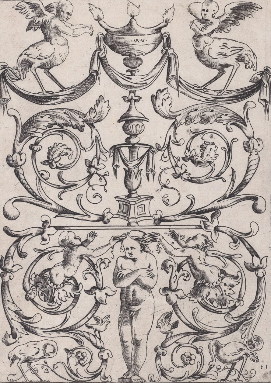 Ornamentales Panel, ca. 1514-36 von Agostino Veneziano