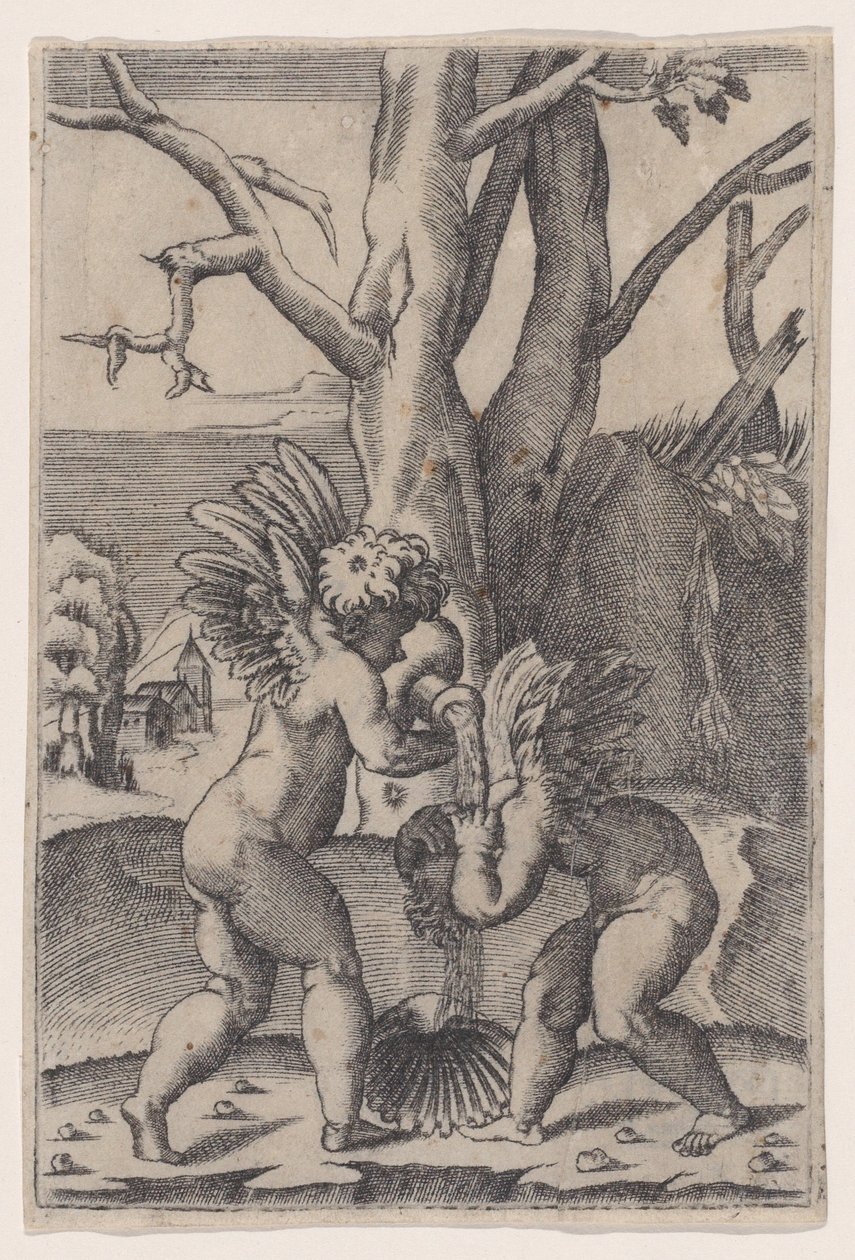 Zwei Cupidos, ca. 1519 von Agostino Veneziano