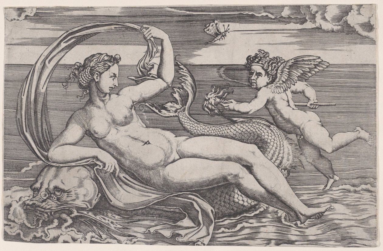 Venus auf einem Delphin ruhend von Agostino Veneziano