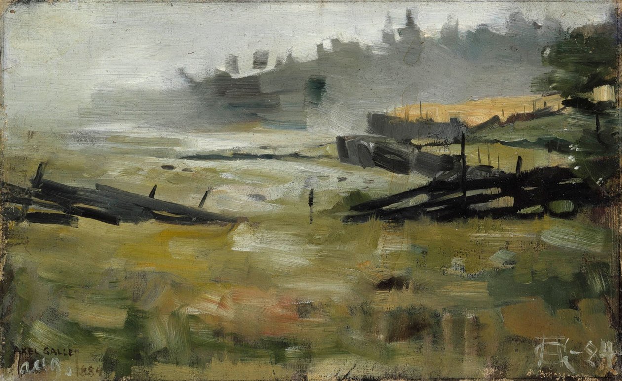 Nebelige Landschaft von Akseli Gallen-Kallela