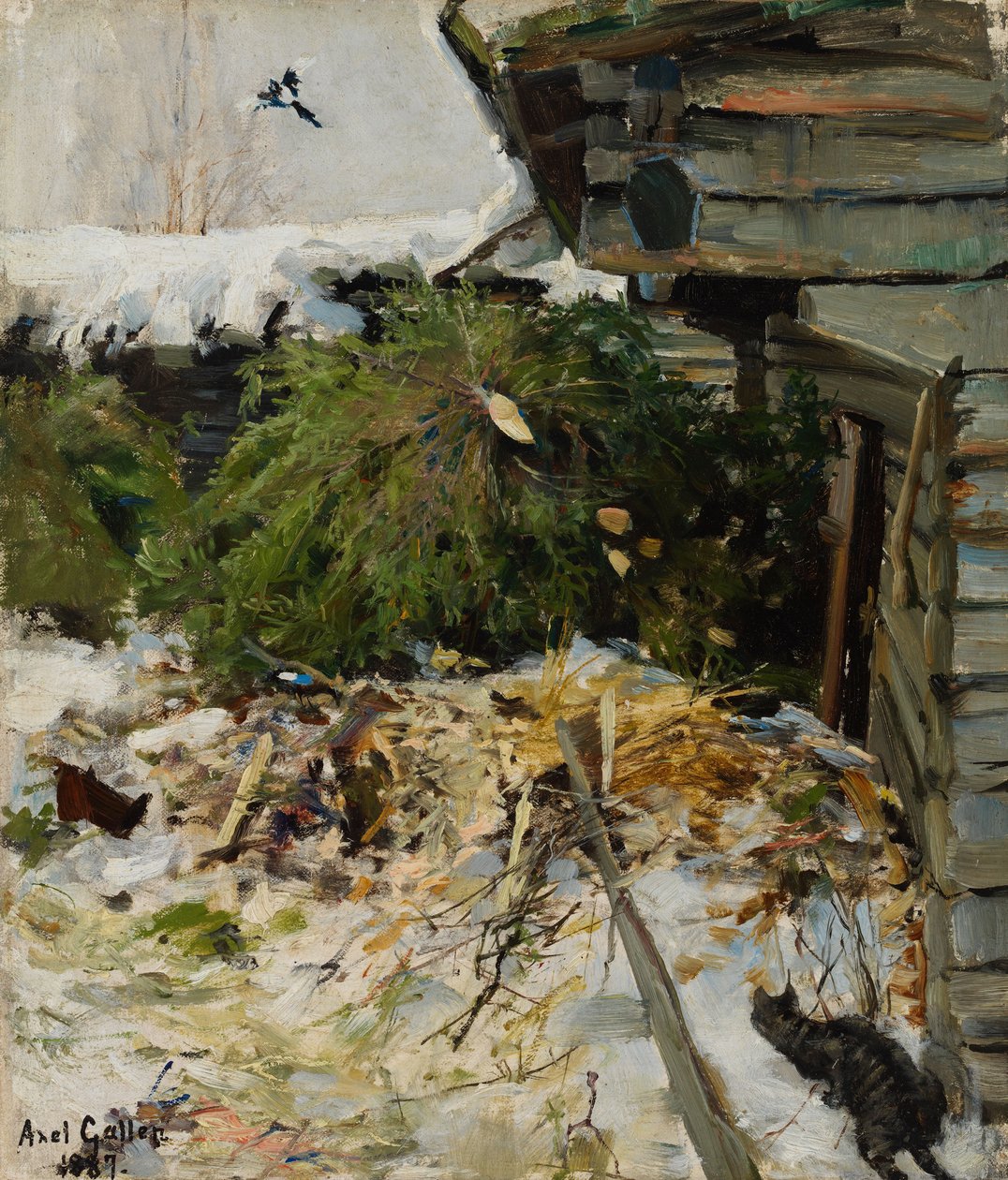 Fichten im Bauernhof von Akseli Gallen-Kallela