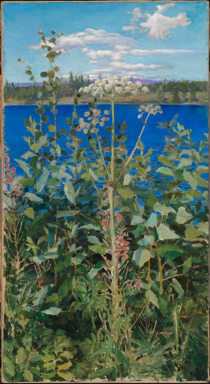 Wald-Engelwurz von Akseli Gallen-Kallela