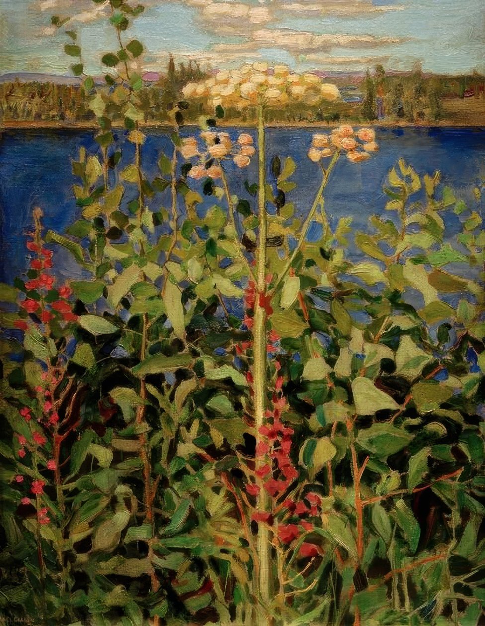 Wilde Angelika von Akseli Valdemar Gallen Kallela