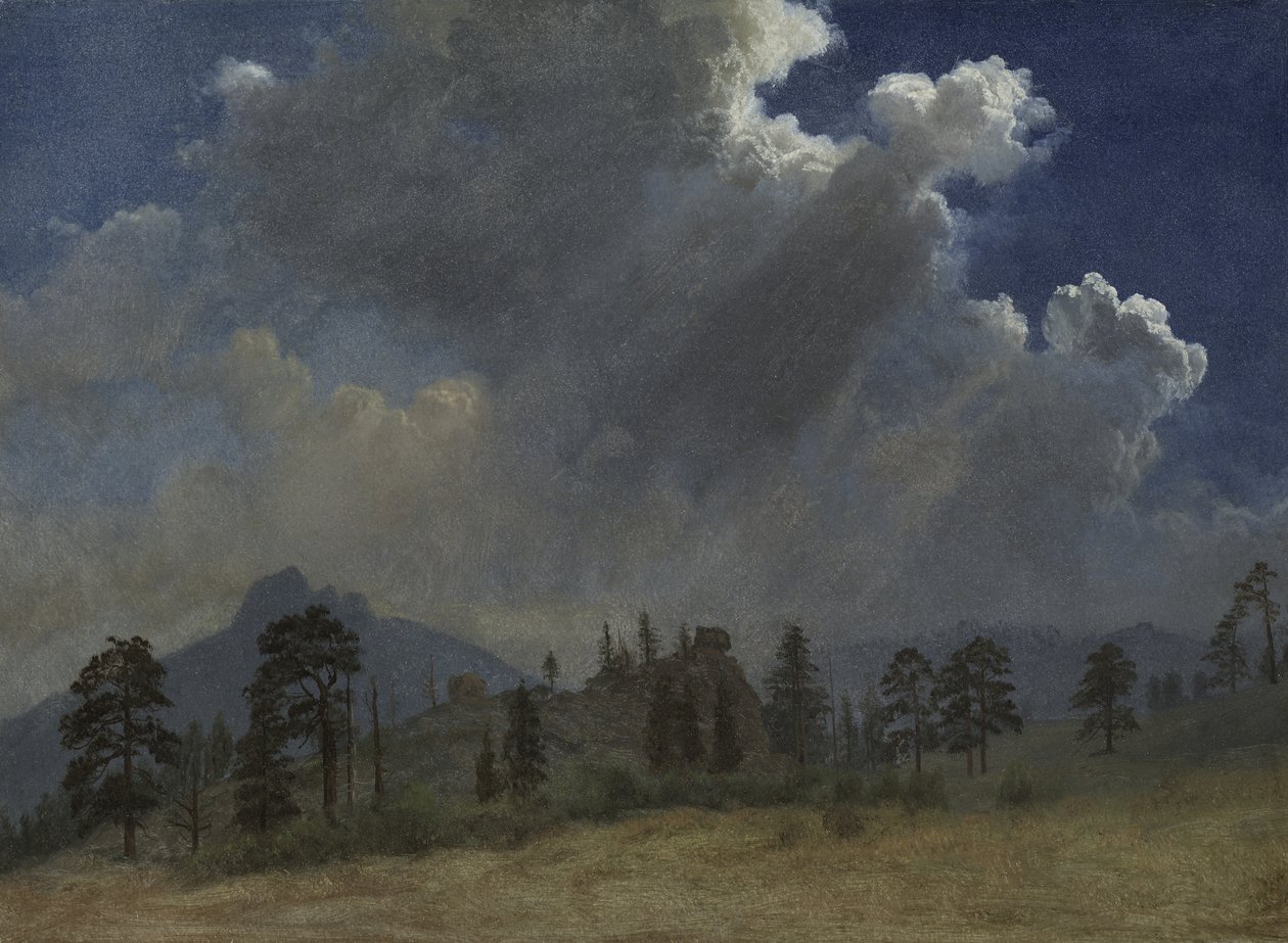Tannen und Sturmwolken von Albert Bierstadt
