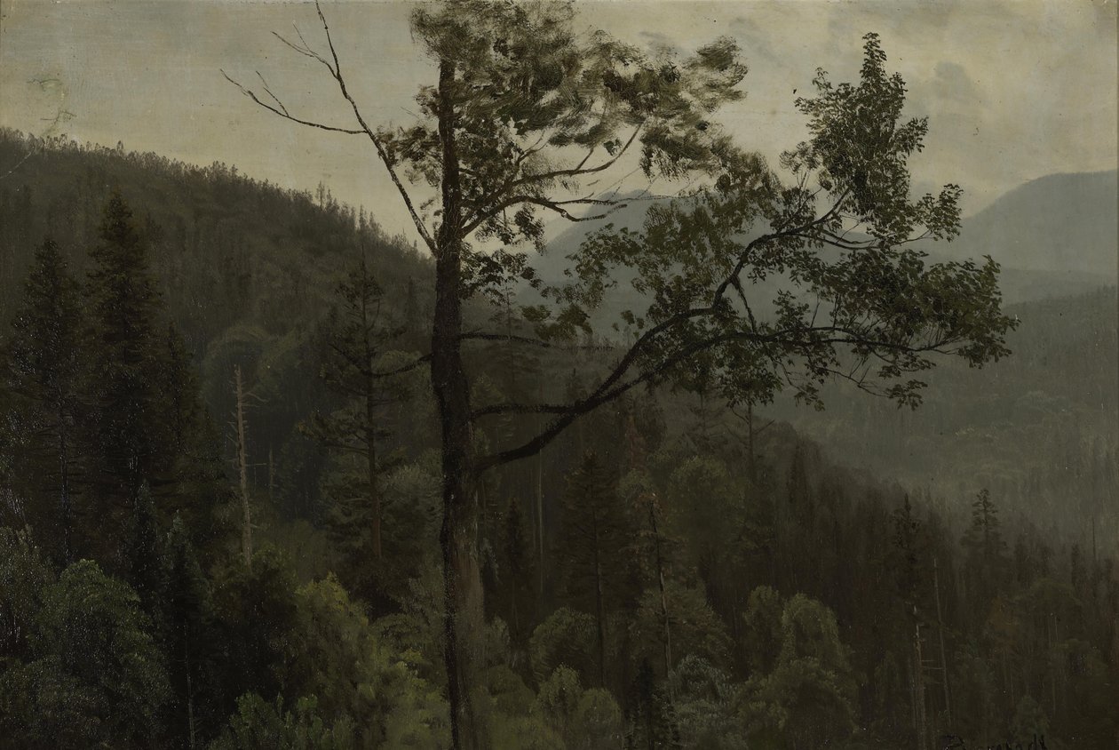 Baumbedeckte Berge von Albert Bierstadt